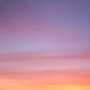 Meet your Posher, Celeste